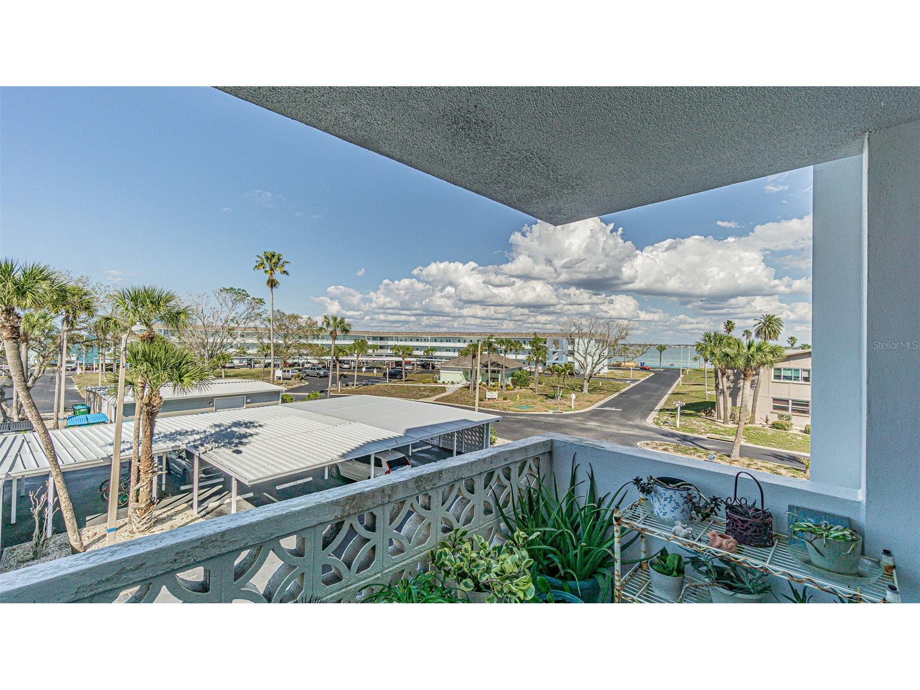 7 Elgin Place #301 Dunedin FL 34698 TB8484027 image17