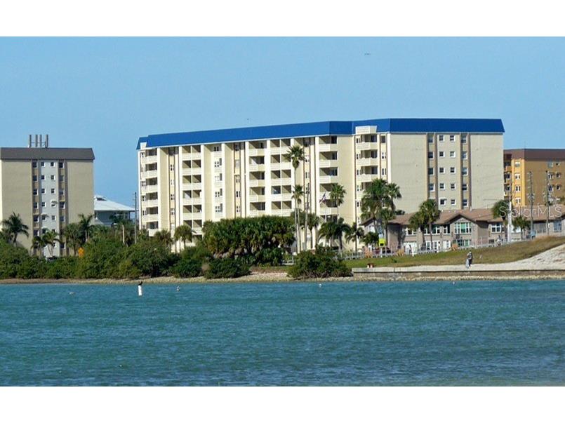 7 Elgin Place #301 Dunedin FL 34698 TB8484027 image2