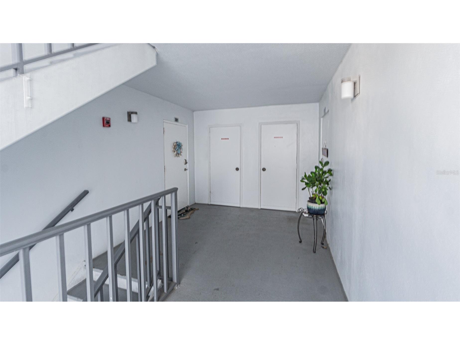 7 Elgin Place #301 Dunedin FL 34698 TB8484027 image20