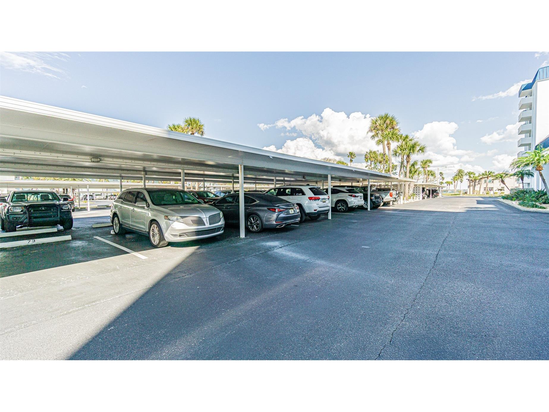 7 Elgin Place #301 Dunedin FL 34698 TB8484027 image23