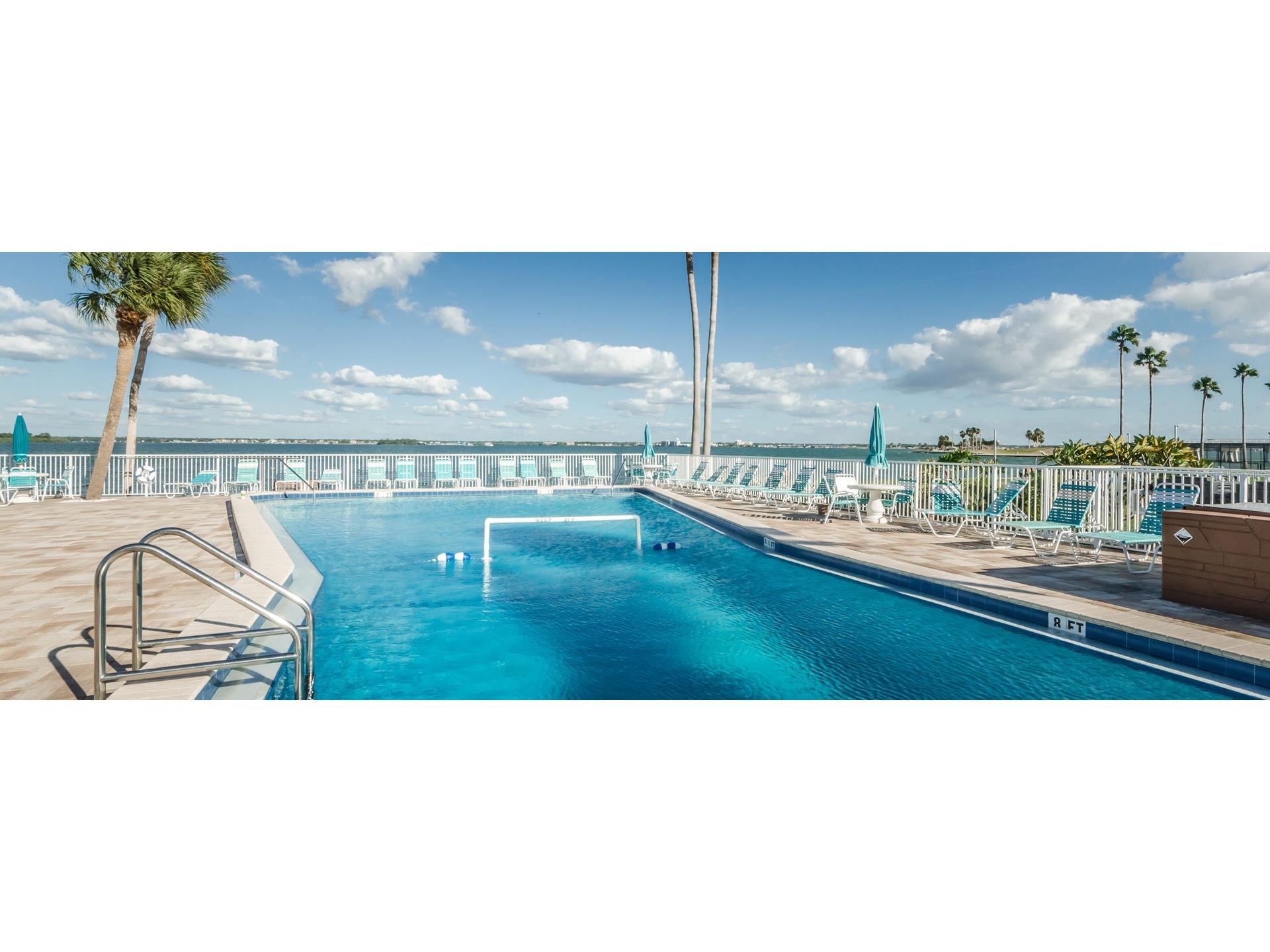 7 Elgin Place #301 Dunedin FL 34698 TB8484027 image24
