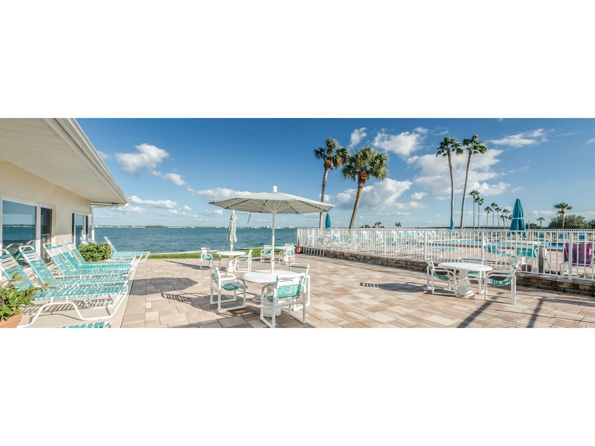 7 Elgin Place #301 Dunedin FL 34698 TB8484027 image25