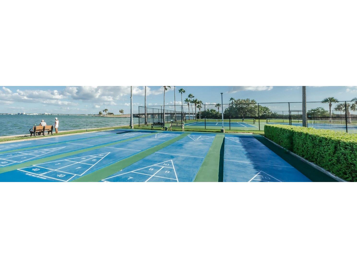 7 Elgin Place #301 Dunedin FL 34698 TB8484027 image26