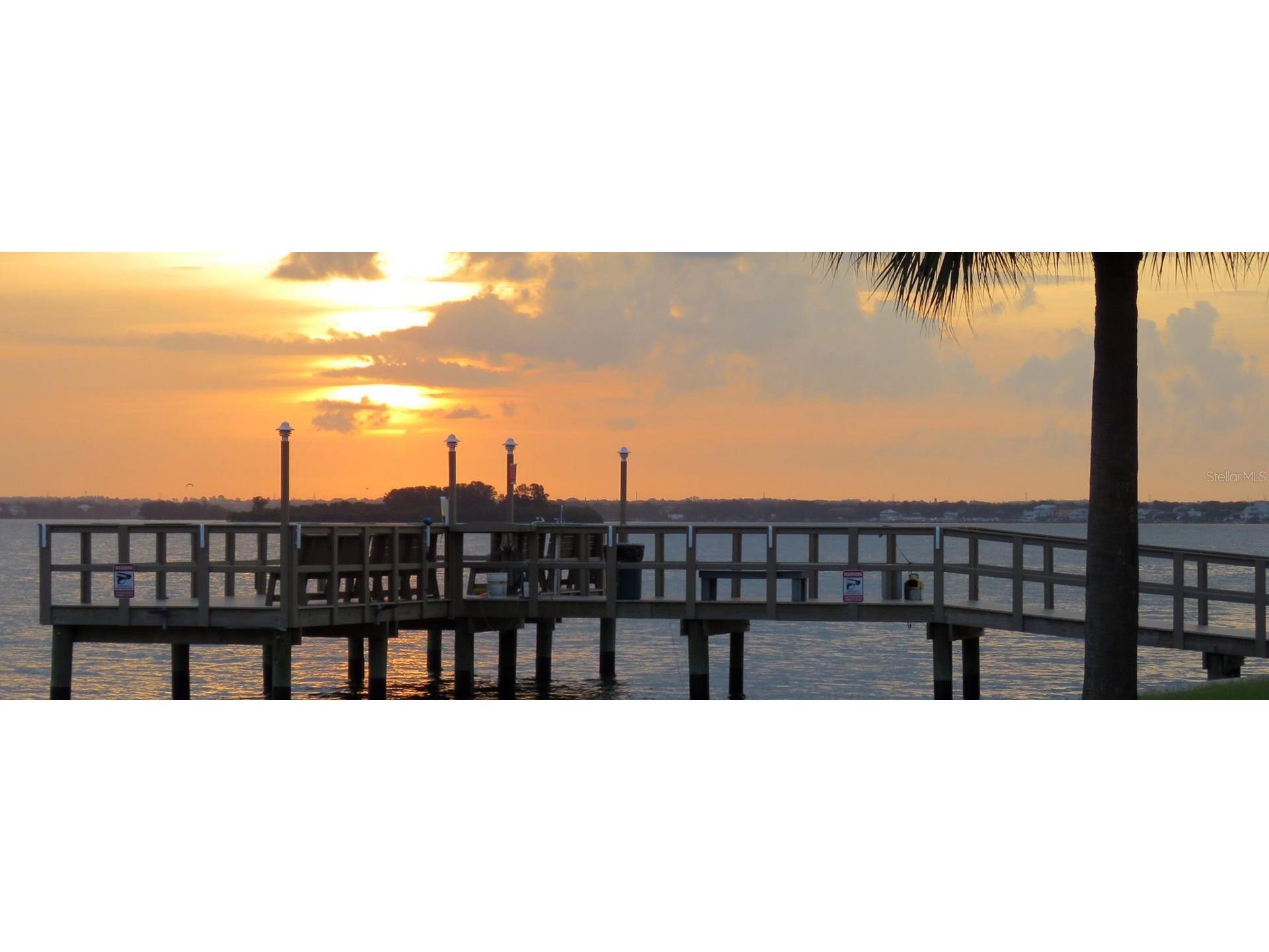 7 Elgin Place #301 Dunedin FL 34698 TB8484027 image28