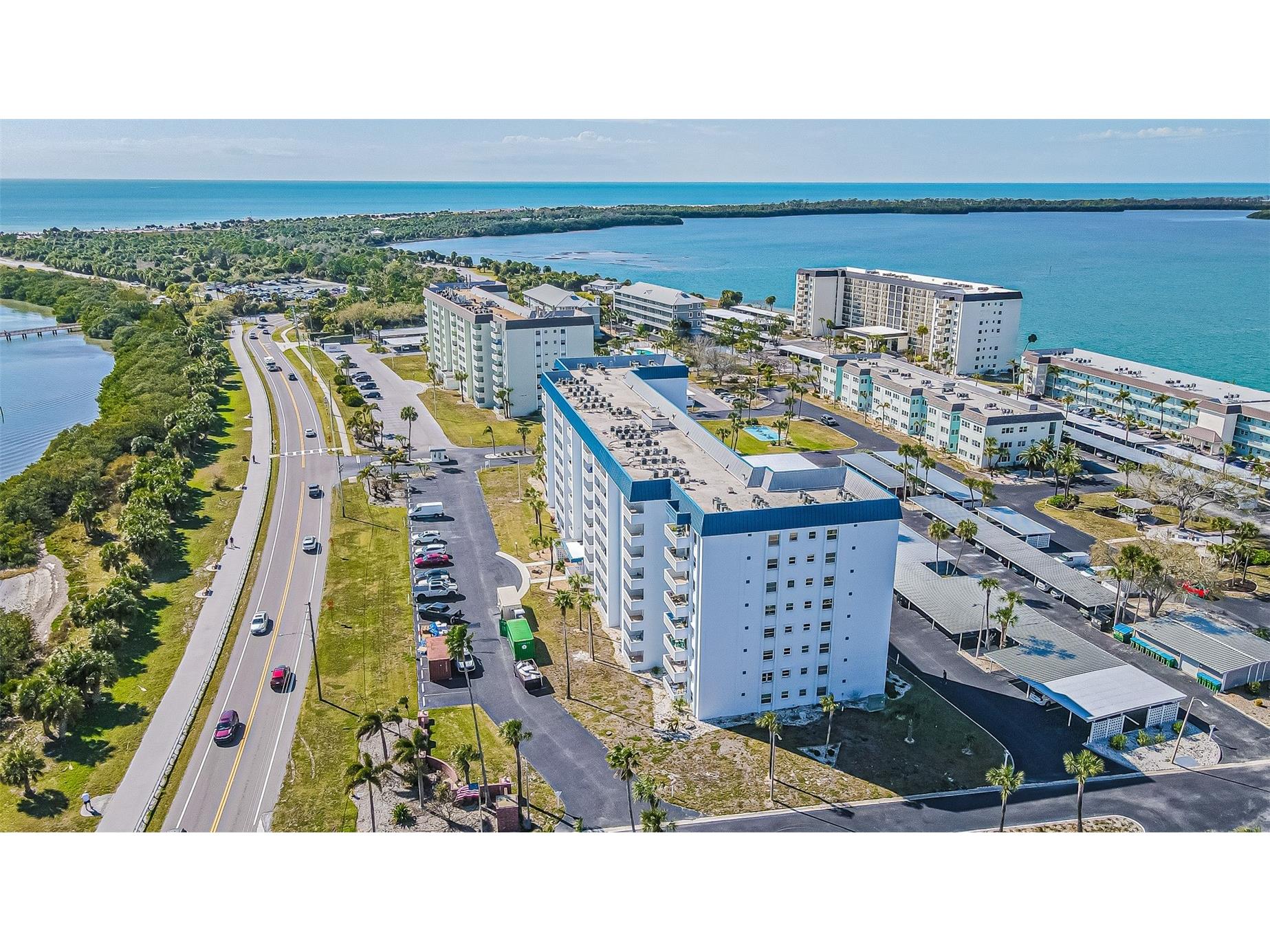 7 Elgin Place #301 Dunedin FL 34698 TB8484027 image31
