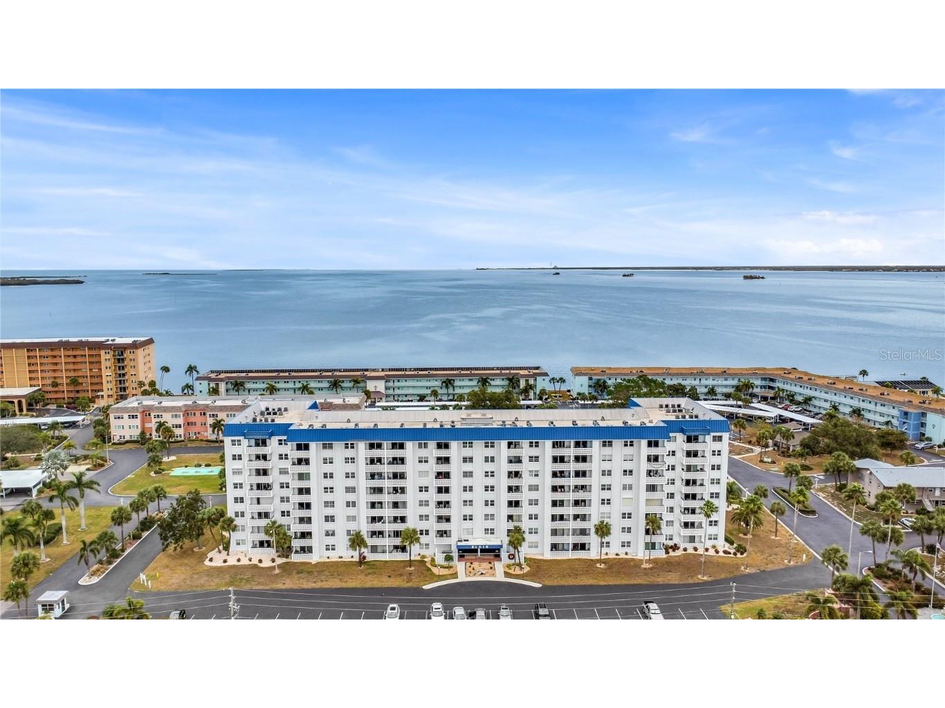 7 Elgin Place #508 Dunedin FL 34698 T3490024 image1