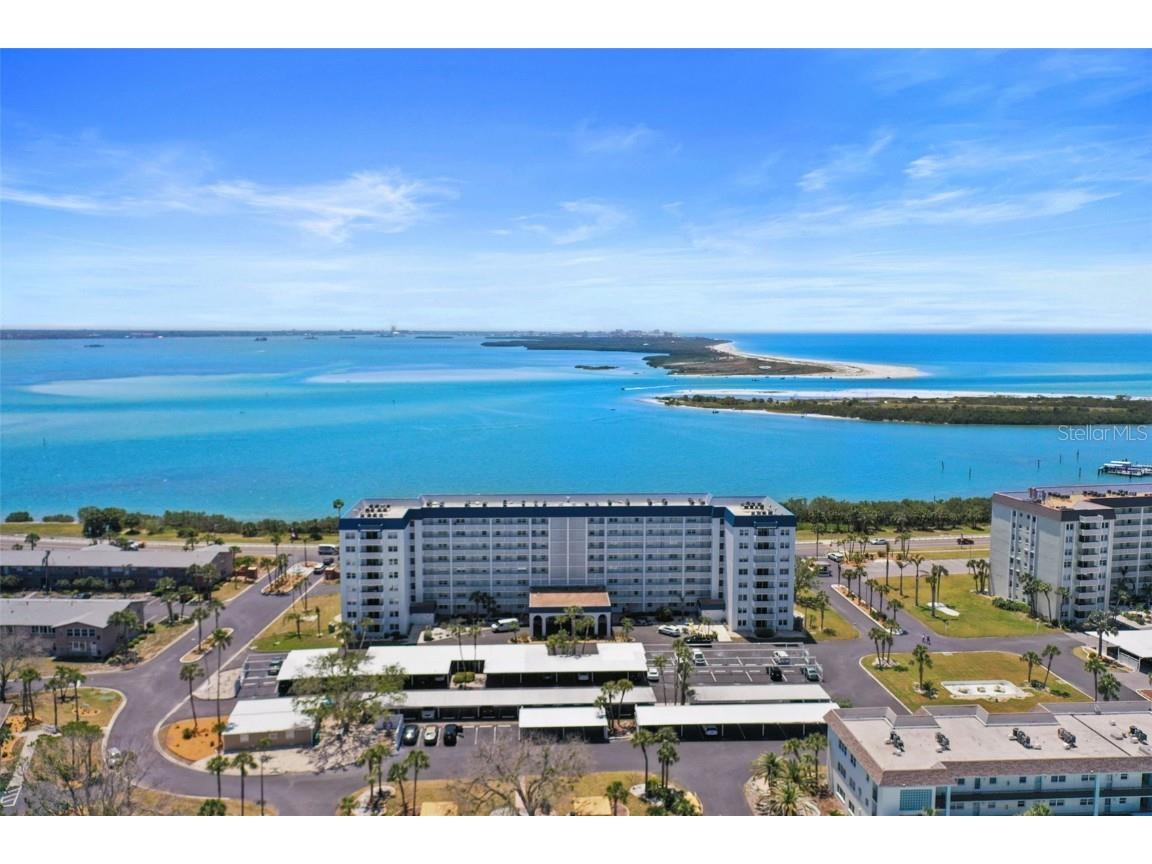 7 Elgin Place #510 Dunedin FL 34698 TB8376493 image1