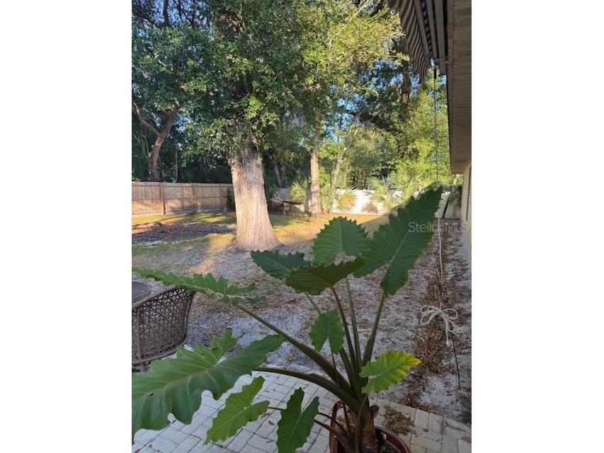 7 Federal Lane Palm Coast FL 32137 FC314759 image53