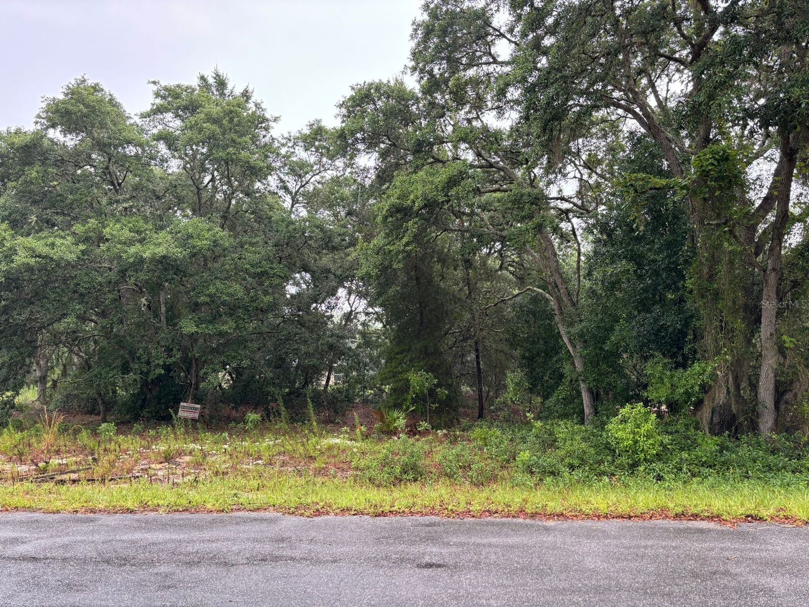 7 Fisher Way Drive Ocklawaha FL 32179 O6397620 image1