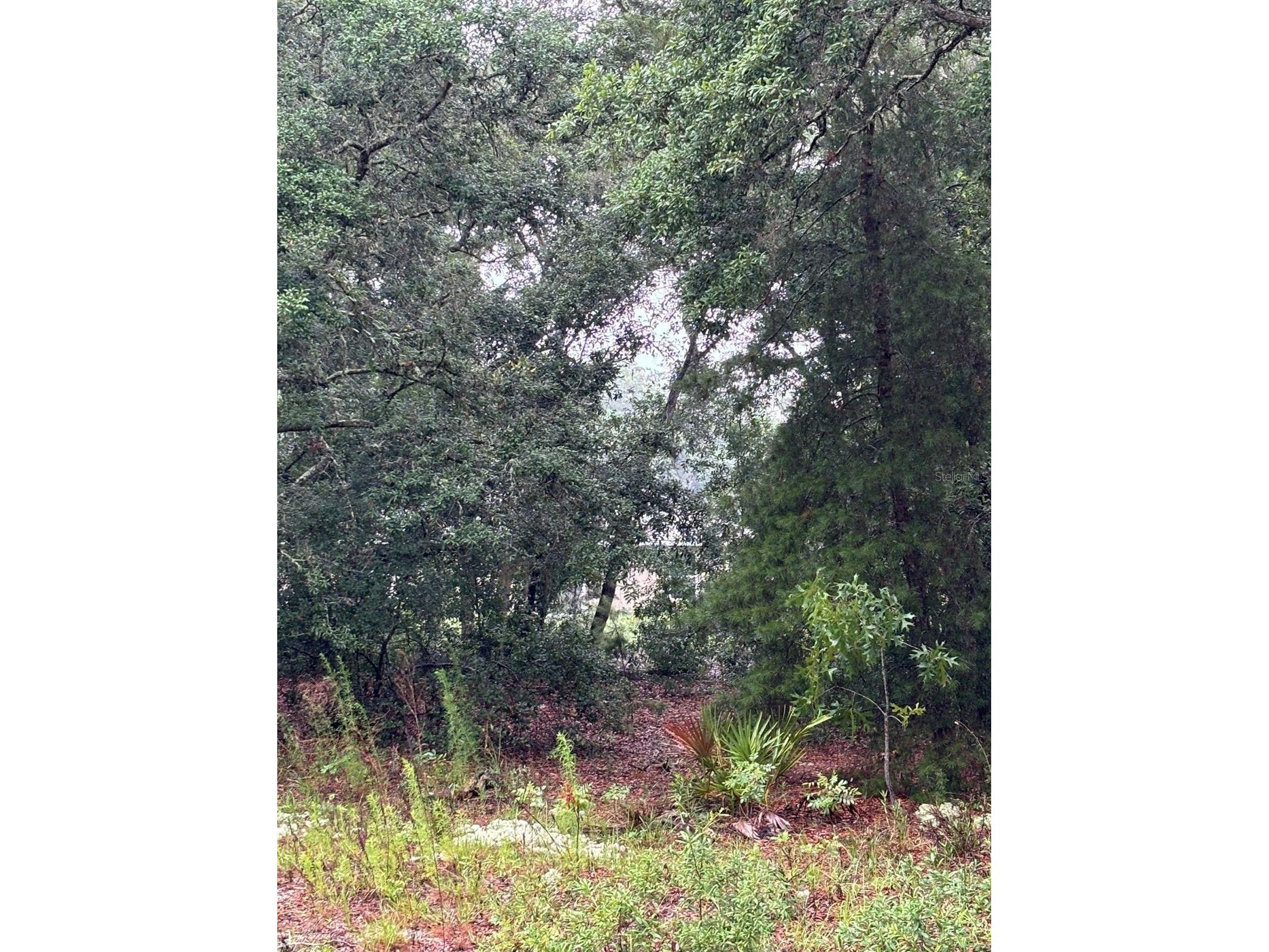 7 Fisher Way Drive Ocklawaha FL 32179 O6397620 image2