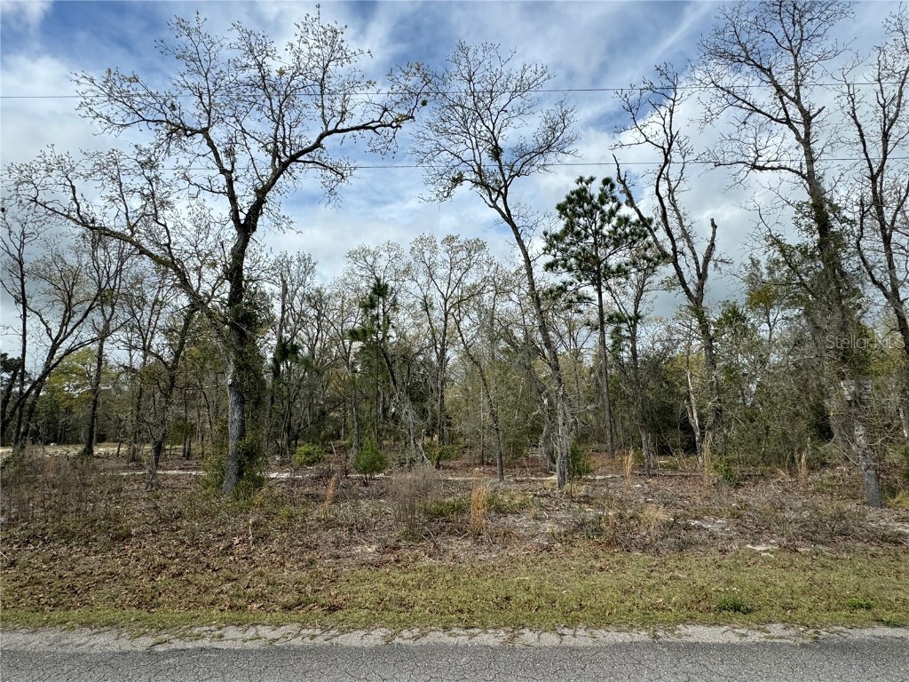 7 Guava Terrace Radial Ocklawaha FL 32179 OM673956 image1