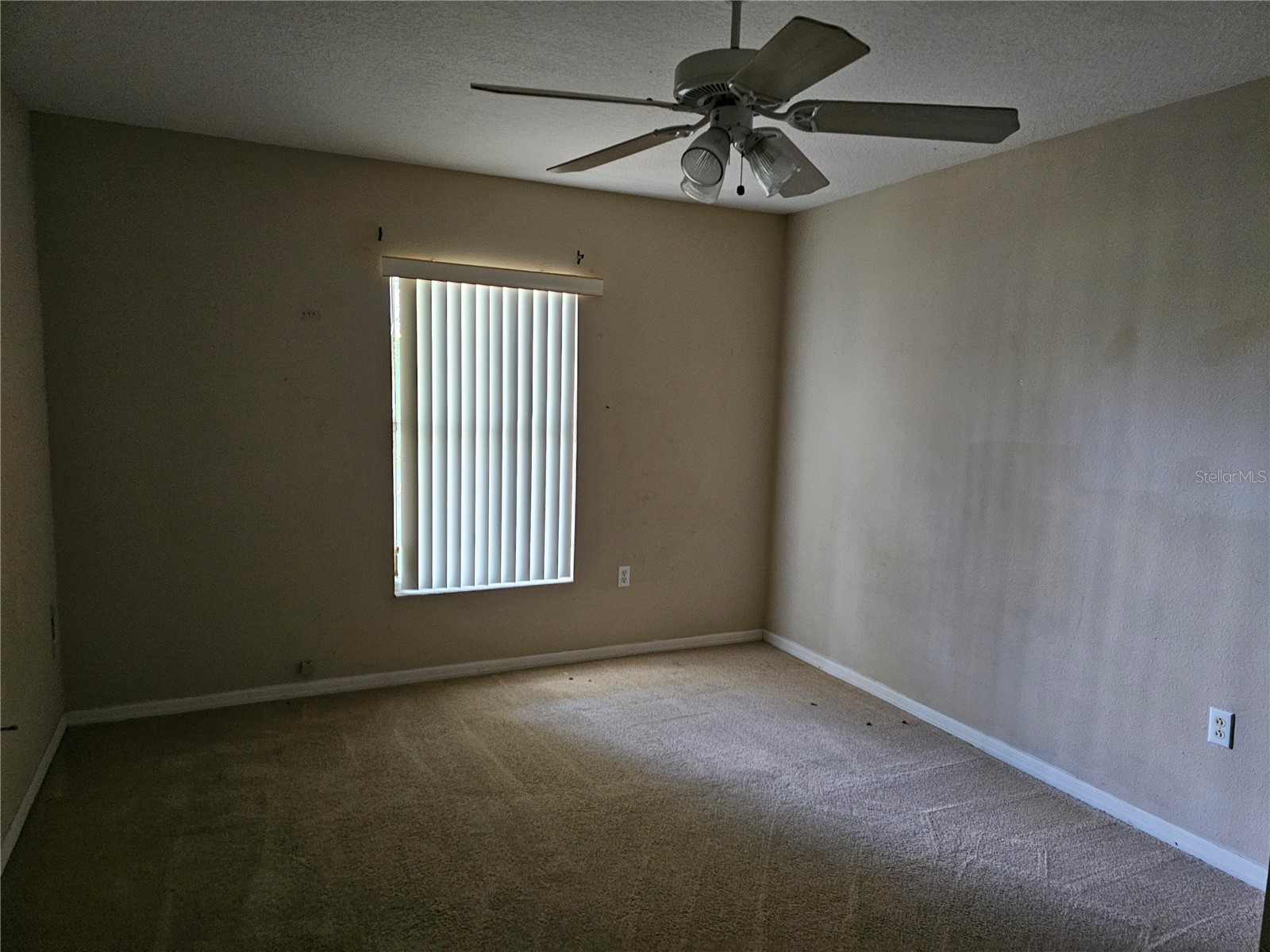 7 Haddock Way Kissimmee FL 34759 S5149890 image13