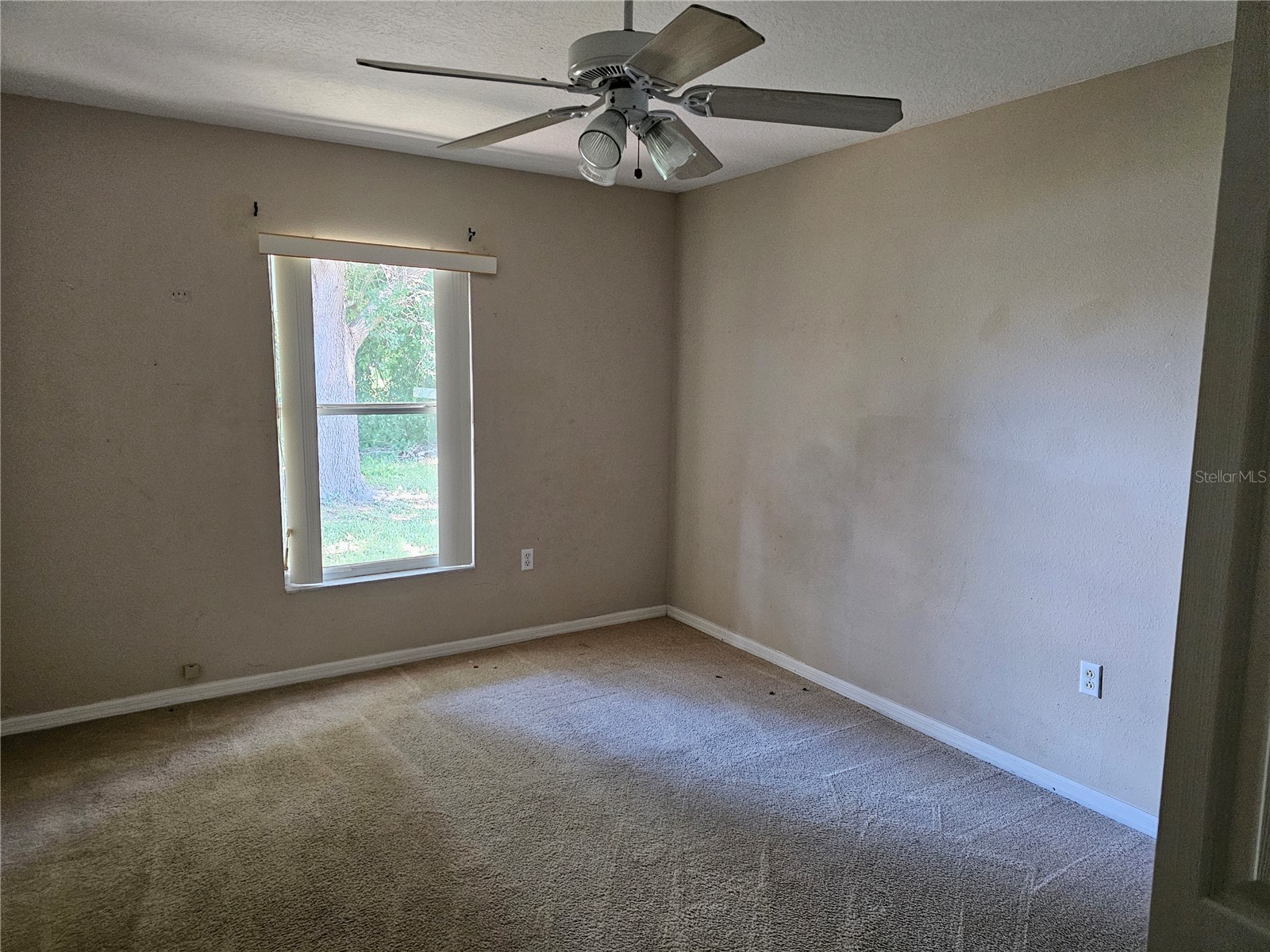 7 Haddock Way Kissimmee FL 34759 S5149890 image18