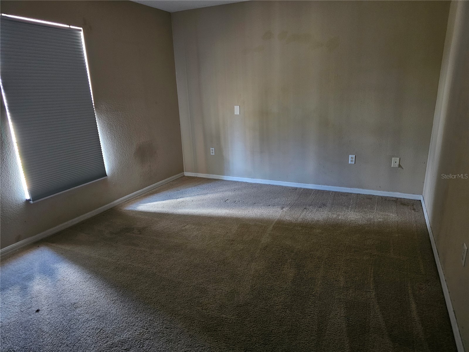 7 Haddock Way Kissimmee FL 34759 S5149890 image22