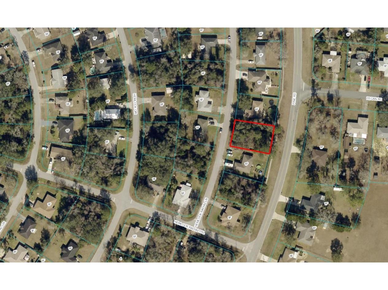 7 Hemlock Radial Lane Ocala FL 34472 OM661409 image1
