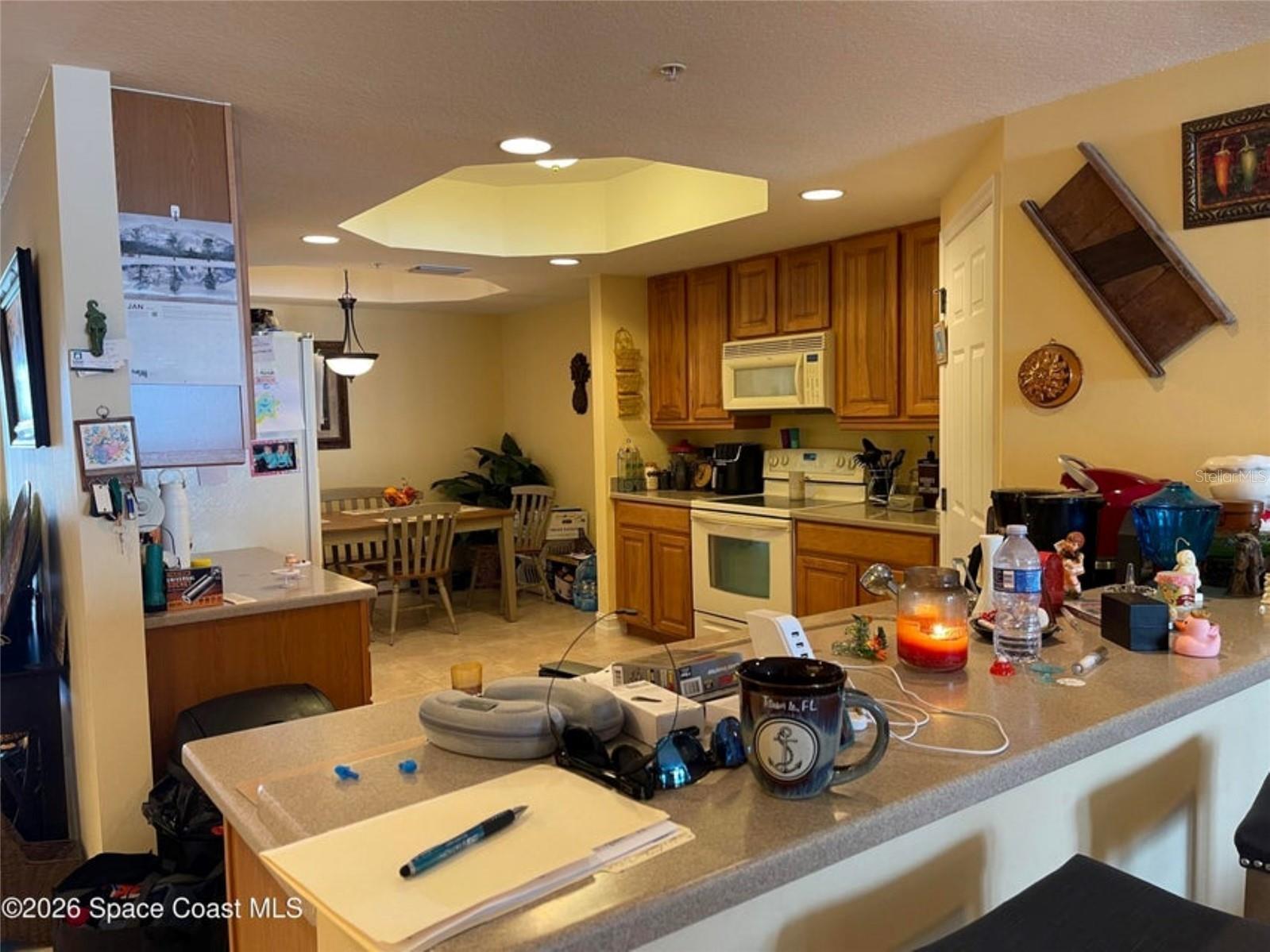 7 Indian River Avenue #1006 Titusville FL 32796 O6377236 image17