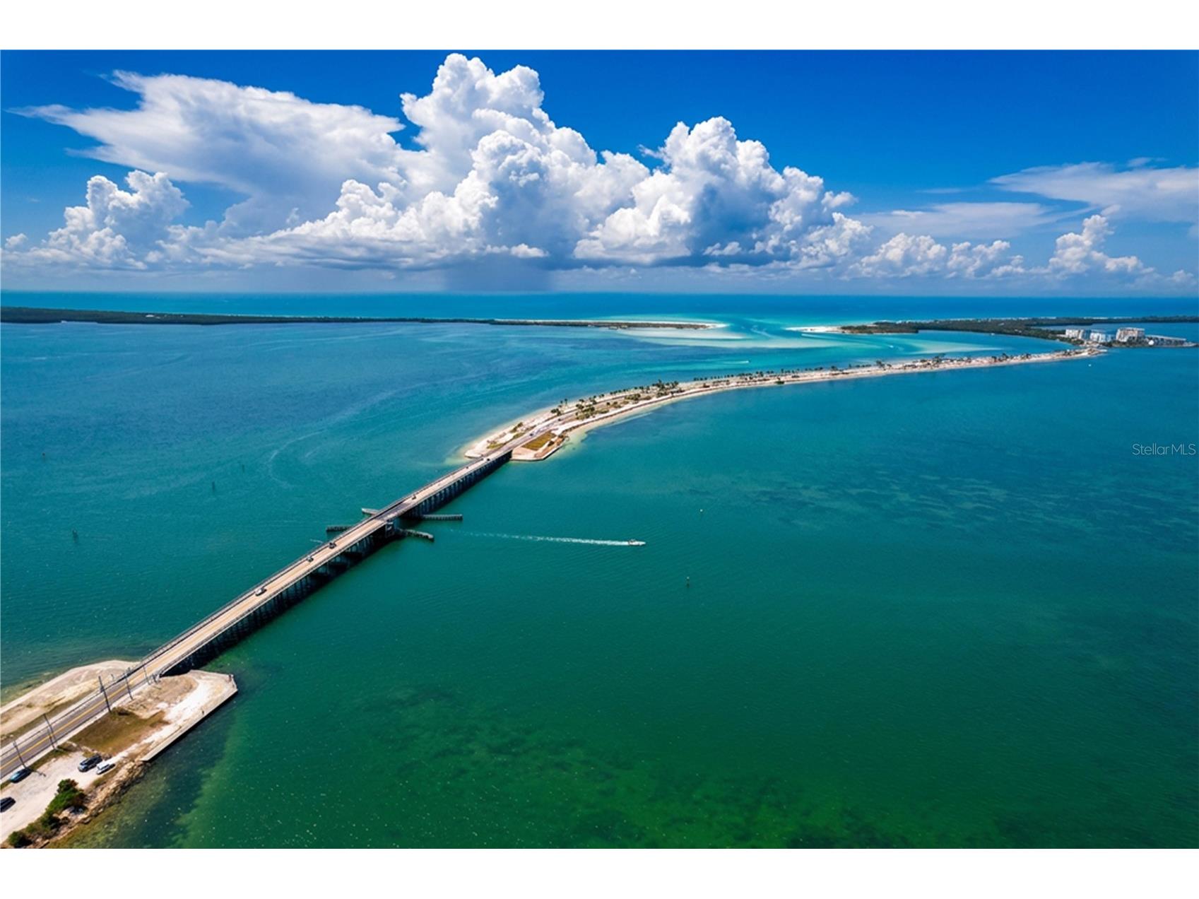 7 Island Park Place #204 Dunedin FL 34698 - ST JOSEPHS SOUND/INTRACOASTAL TB8491109 image49