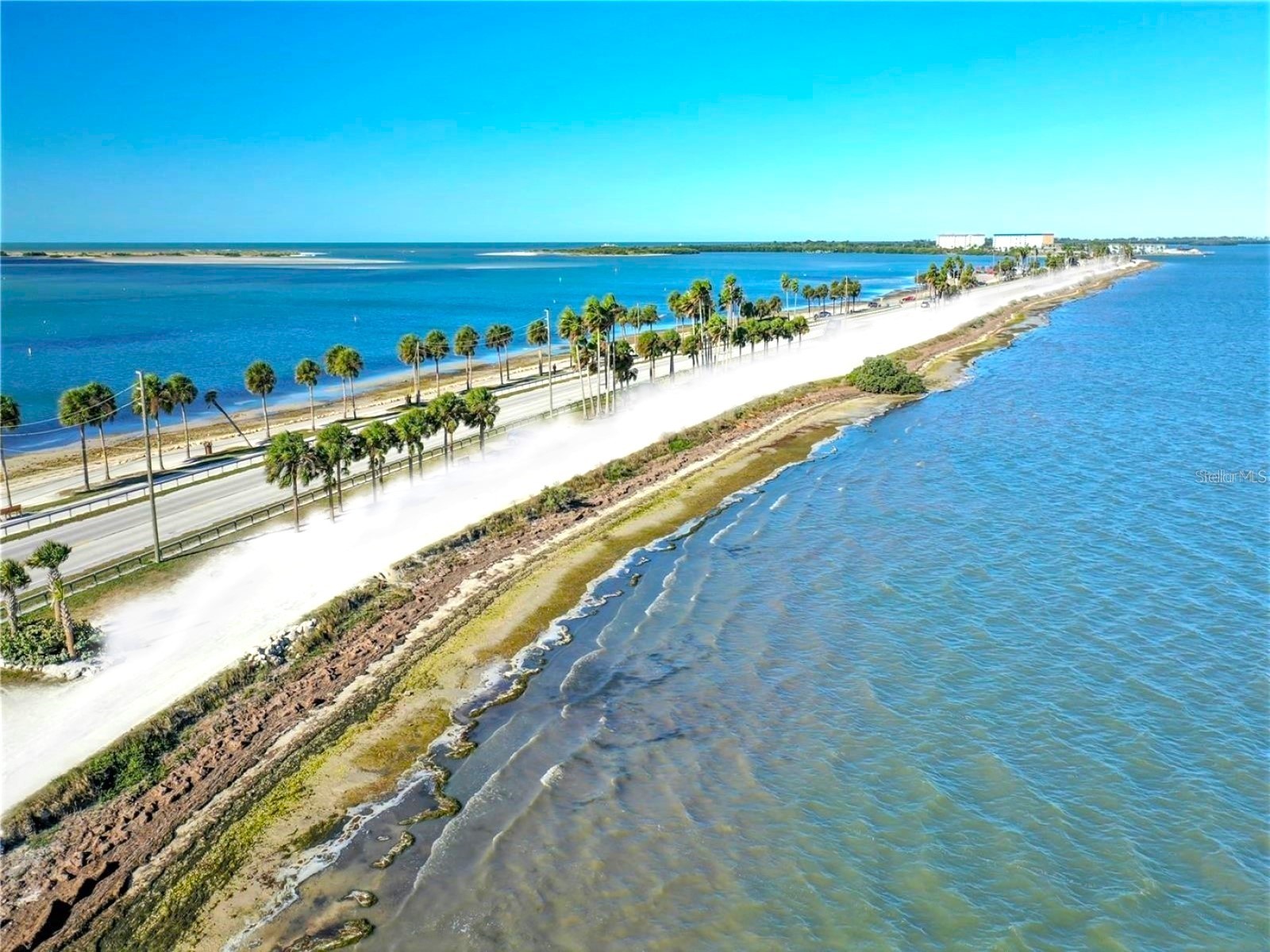 7 Island Park Place #204 Dunedin FL 34698 - ST JOSEPHS SOUND/INTRACOASTAL TB8491109 image62