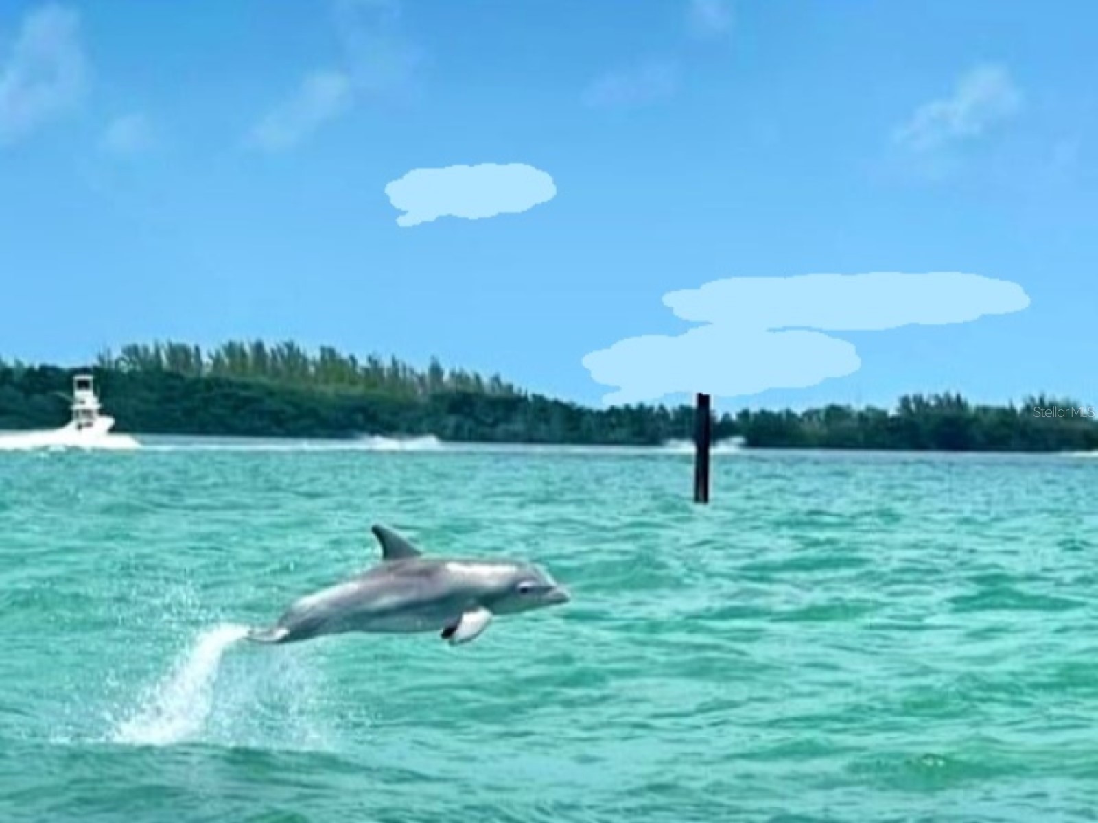 7 Island Park Place #204 Dunedin FL 34698 - ST JOSEPHS SOUND/INTRACOASTAL TB8491109 image65