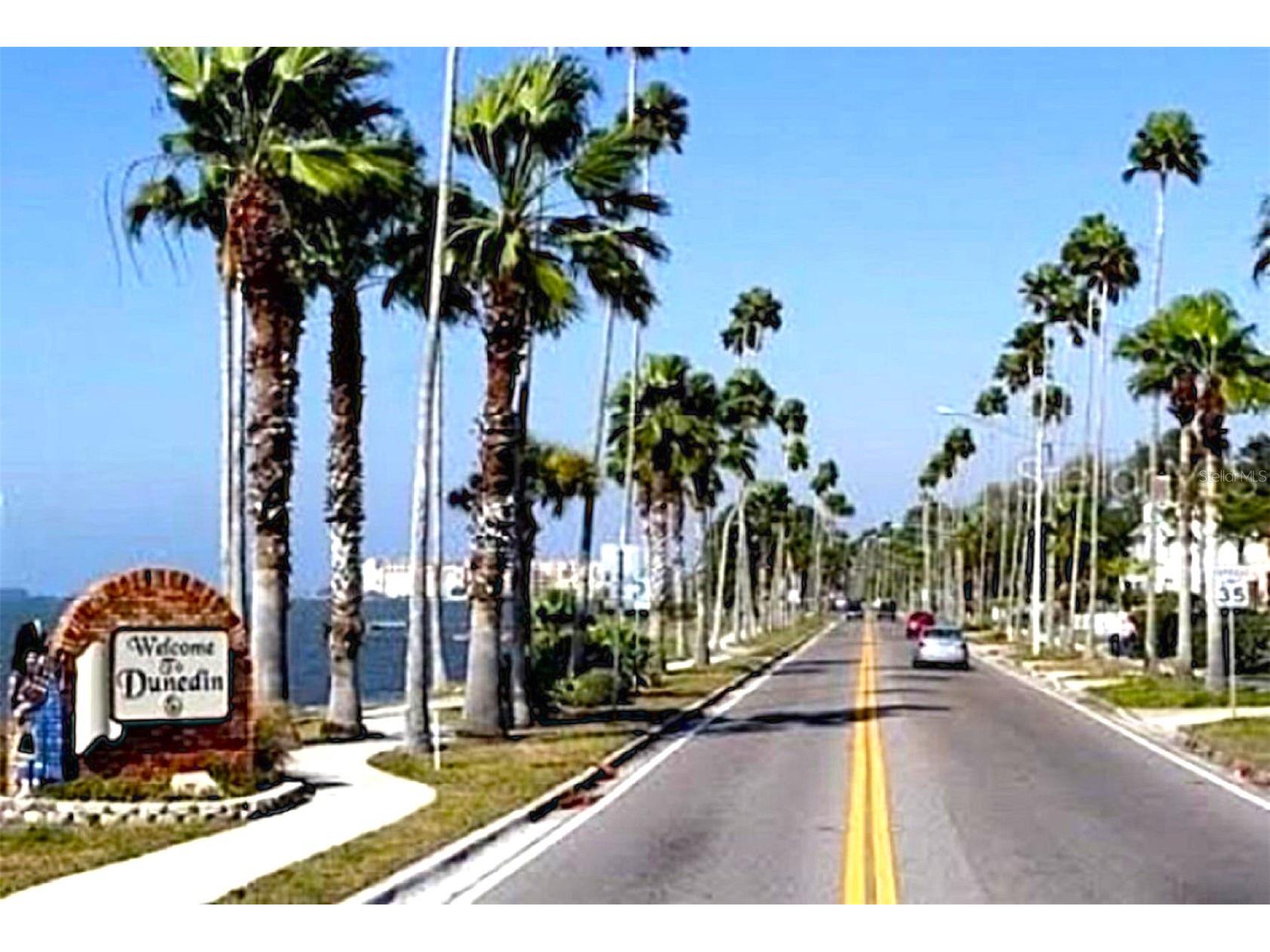 7 Island Park Place #204 Dunedin FL 34698 - ST JOSEPHS SOUND/INTRACOASTAL TB8491109 image66
