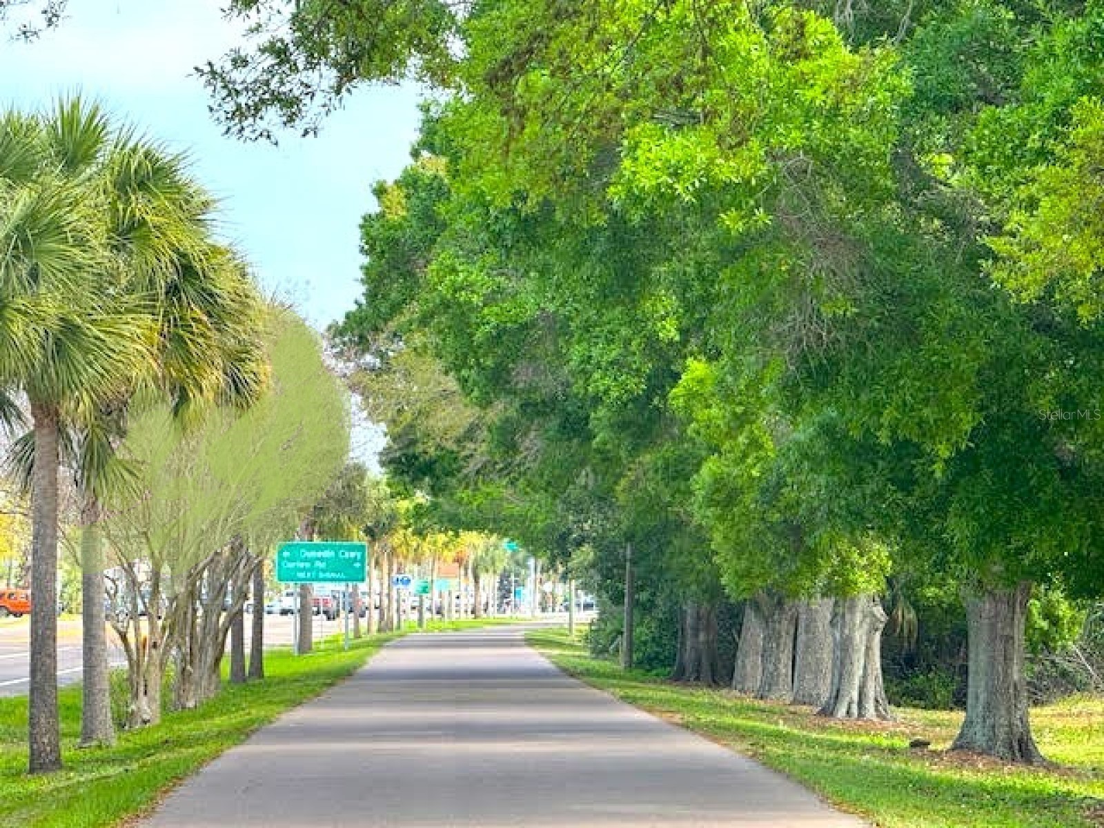 7 Island Park Place #204 Dunedin FL 34698 - ST JOSEPHS SOUND/INTRACOASTAL TB8491109 image70