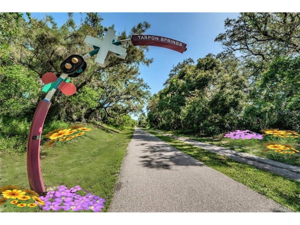 7 Island Park Place #204 Dunedin FL 34698 - ST JOSEPHS SOUND/INTRACOASTAL TB8491109 image75