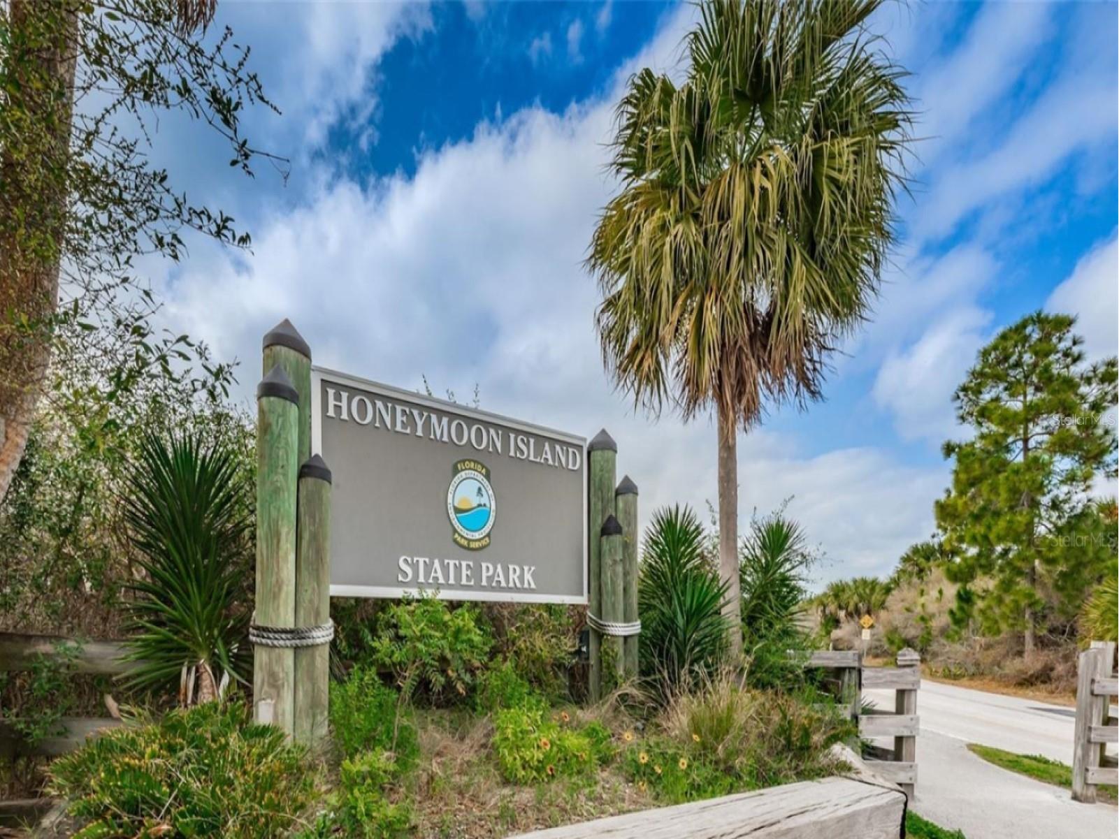 7 Island Park Place #204 Dunedin FL 34698 - ST JOSEPHS SOUND/INTRACOASTAL TB8491109 image77