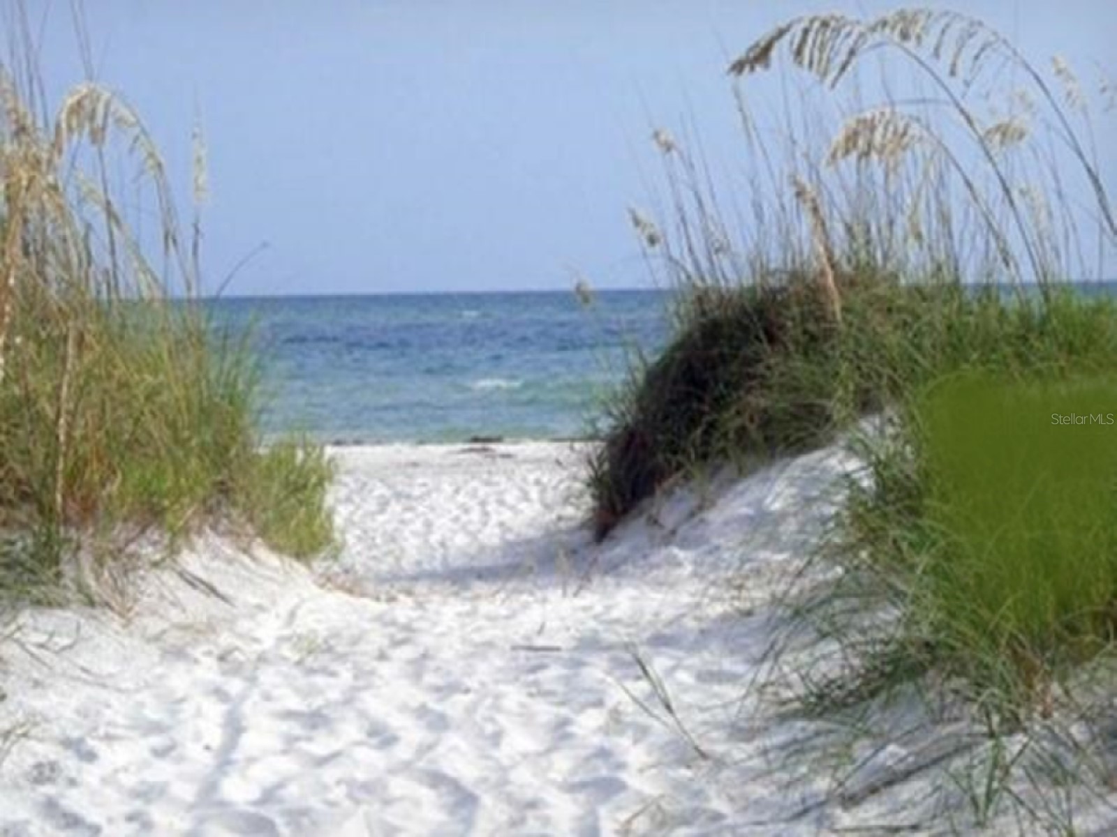7 Island Park Place #204 Dunedin FL 34698 - ST JOSEPHS SOUND/INTRACOASTAL TB8491109 image78