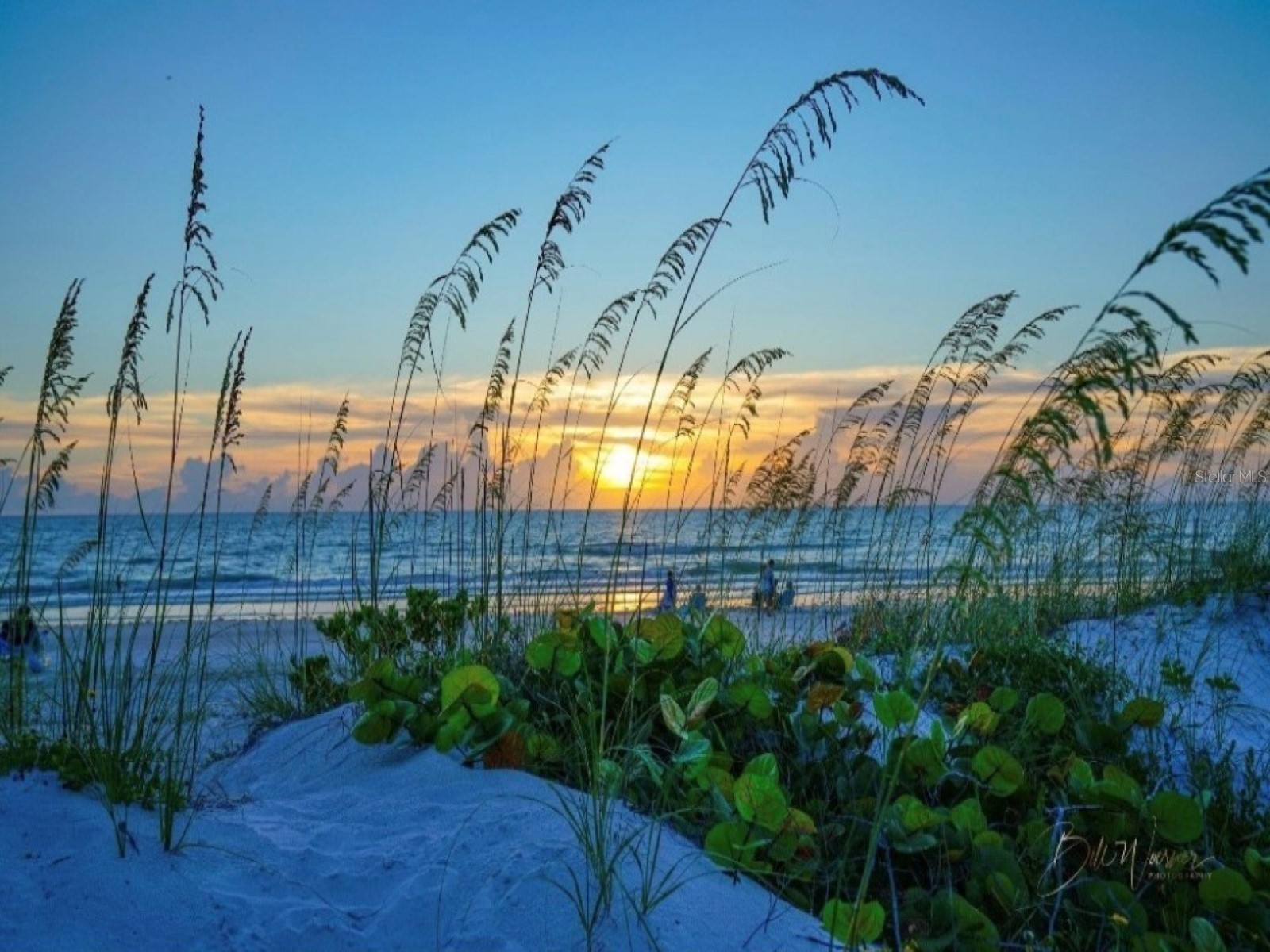 7 Island Park Place #204 Dunedin FL 34698 - ST JOSEPHS SOUND/INTRACOASTAL TB8491109 image80