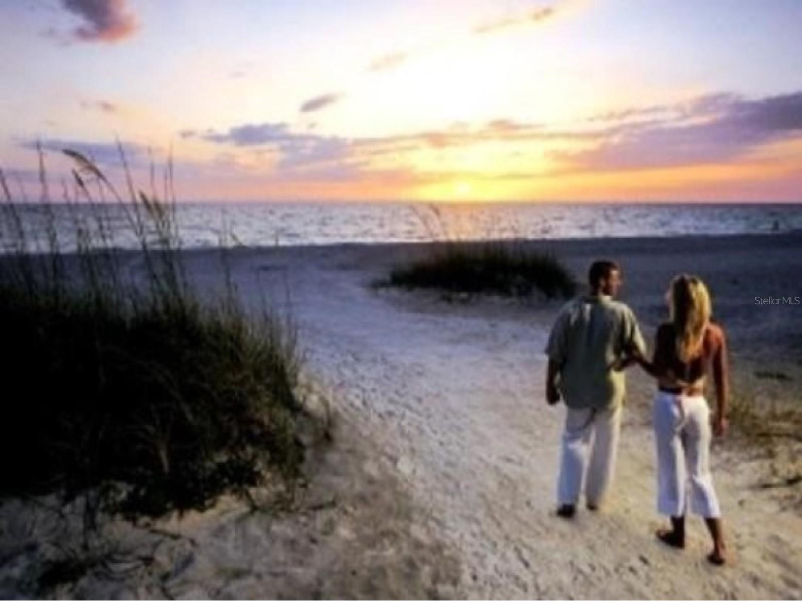 7 Island Park Place #204 Dunedin FL 34698 - ST JOSEPHS SOUND/INTRACOASTAL TB8491109 image82