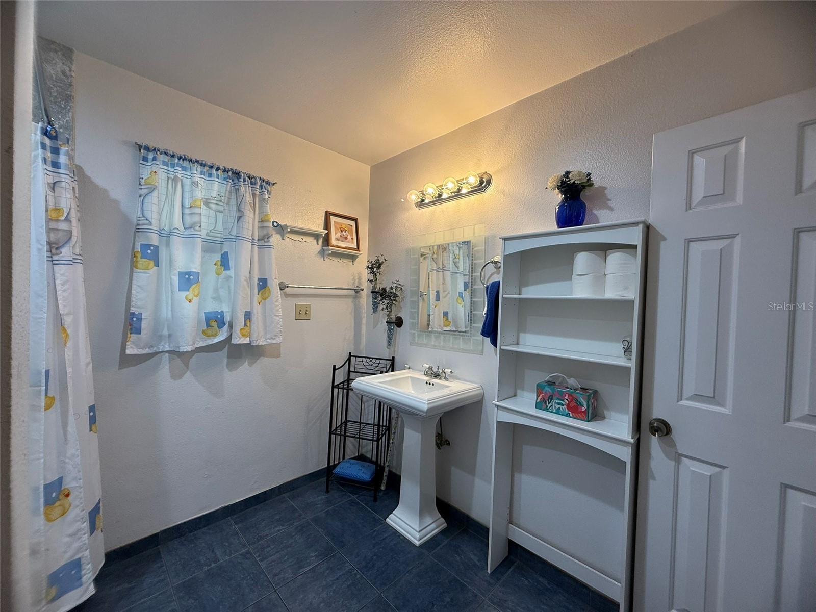 7 Lago Vista Court Davenport FL 33837 - LAKE DAVENPORT P4938942 image15