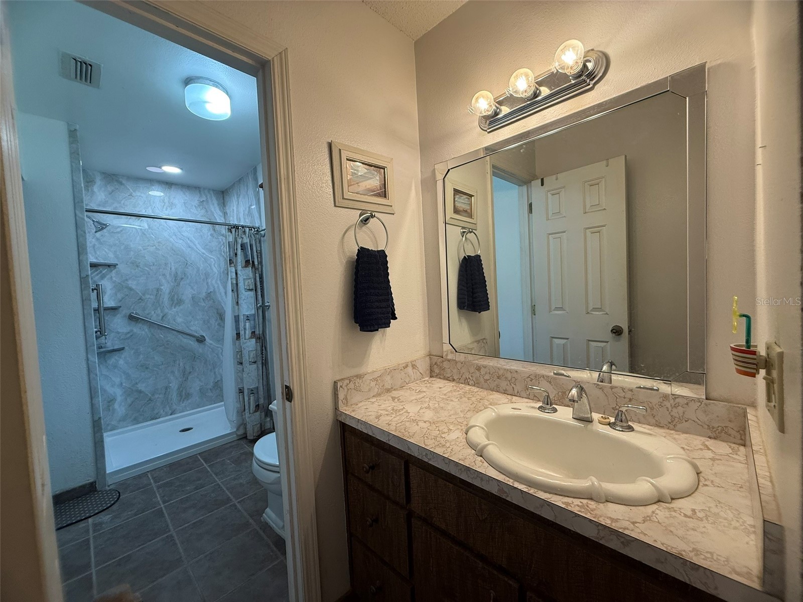 7 Lago Vista Court Davenport FL 33837 - LAKE DAVENPORT P4938942 image20