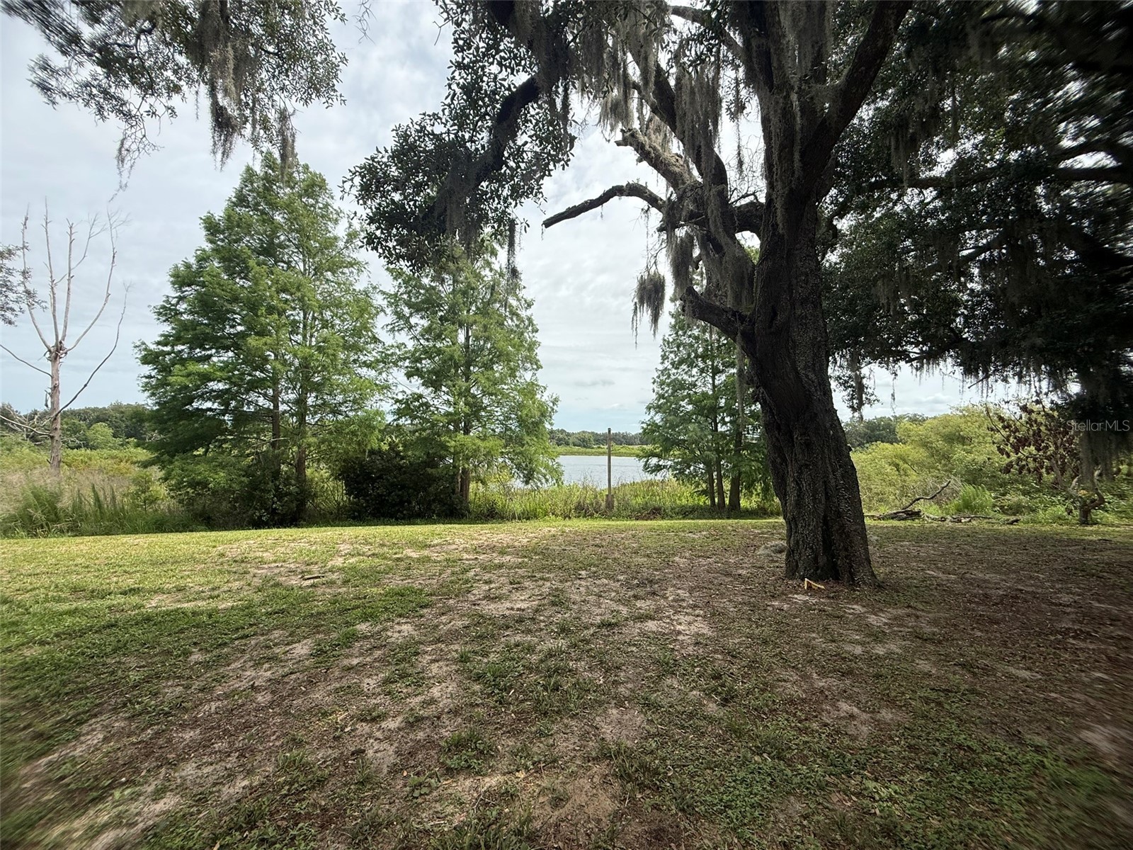 7 Lago Vista Court Davenport FL 33837 - LAKE DAVENPORT P4938942 image30