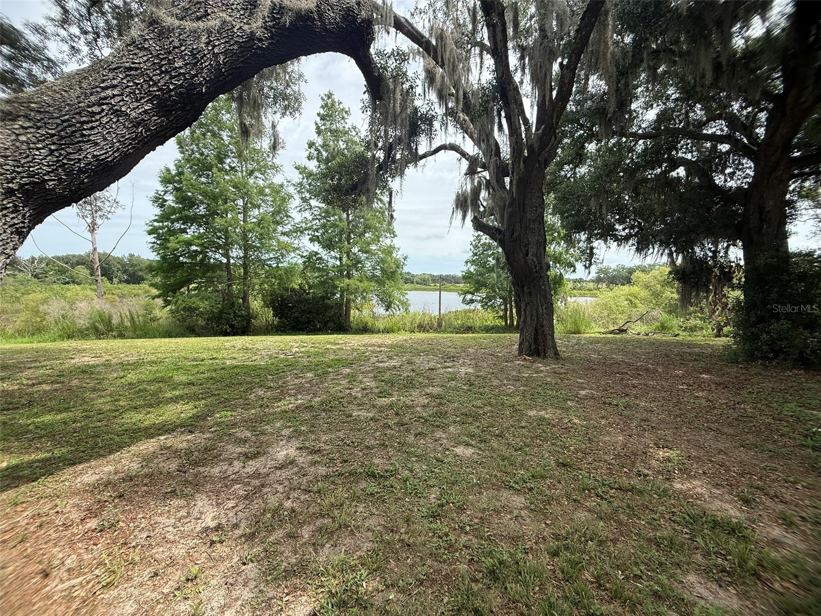 7 Lago Vista Court Davenport FL 33837 - LAKE DAVENPORT P4938942 image5