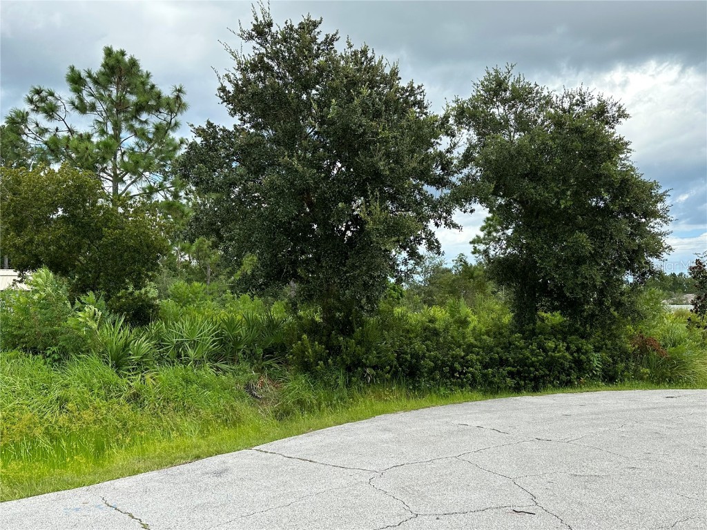 7 Lewiston Place Palm Coast FL 32137 FC294029 image1