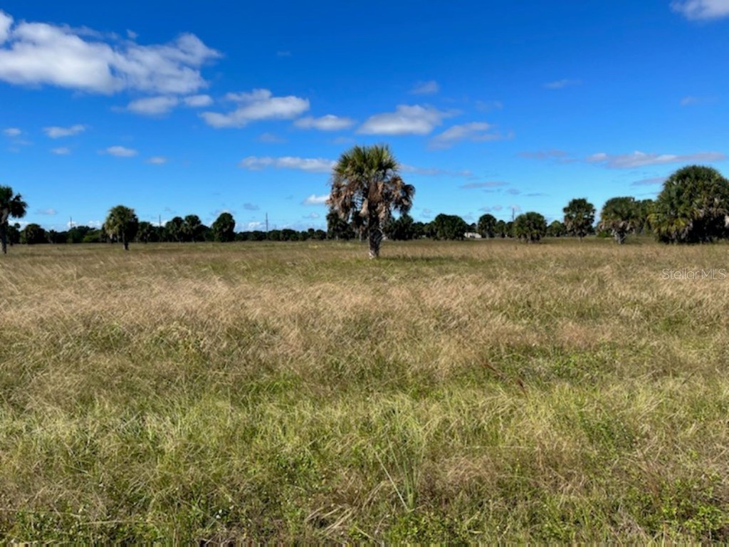 7 Mango Court Placida FL 33946 C7451208 image1