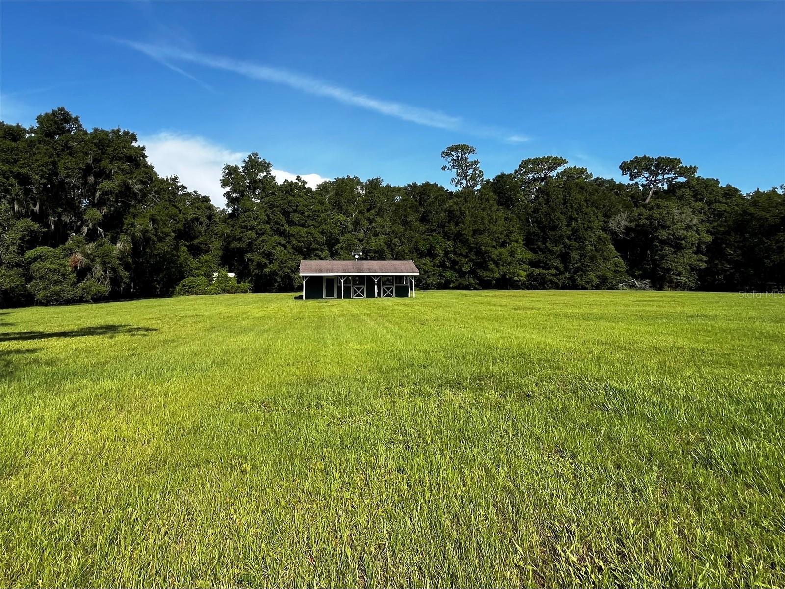 7 Meadow Wood Drive Ocala FL 34482 OM727324 image8