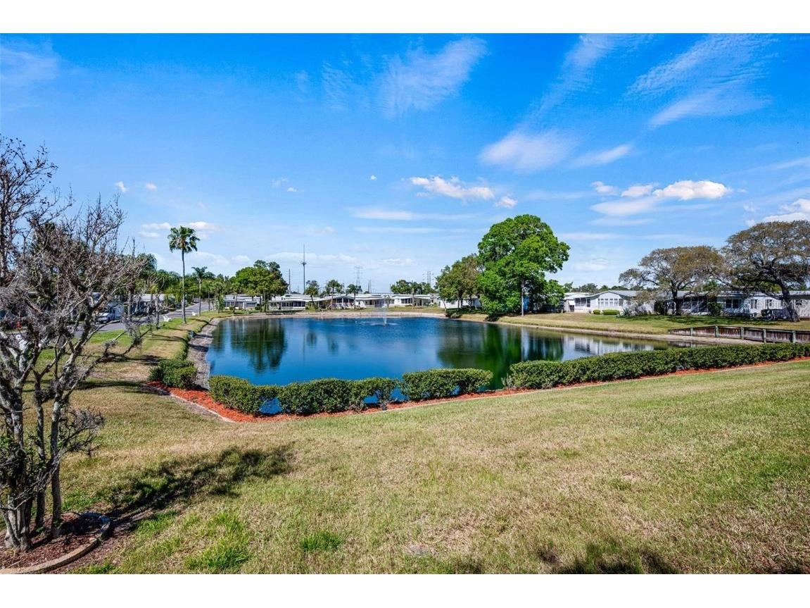 7 Mountain Laurel Drive Palm Harbor FL 34684 TB8447401 image27