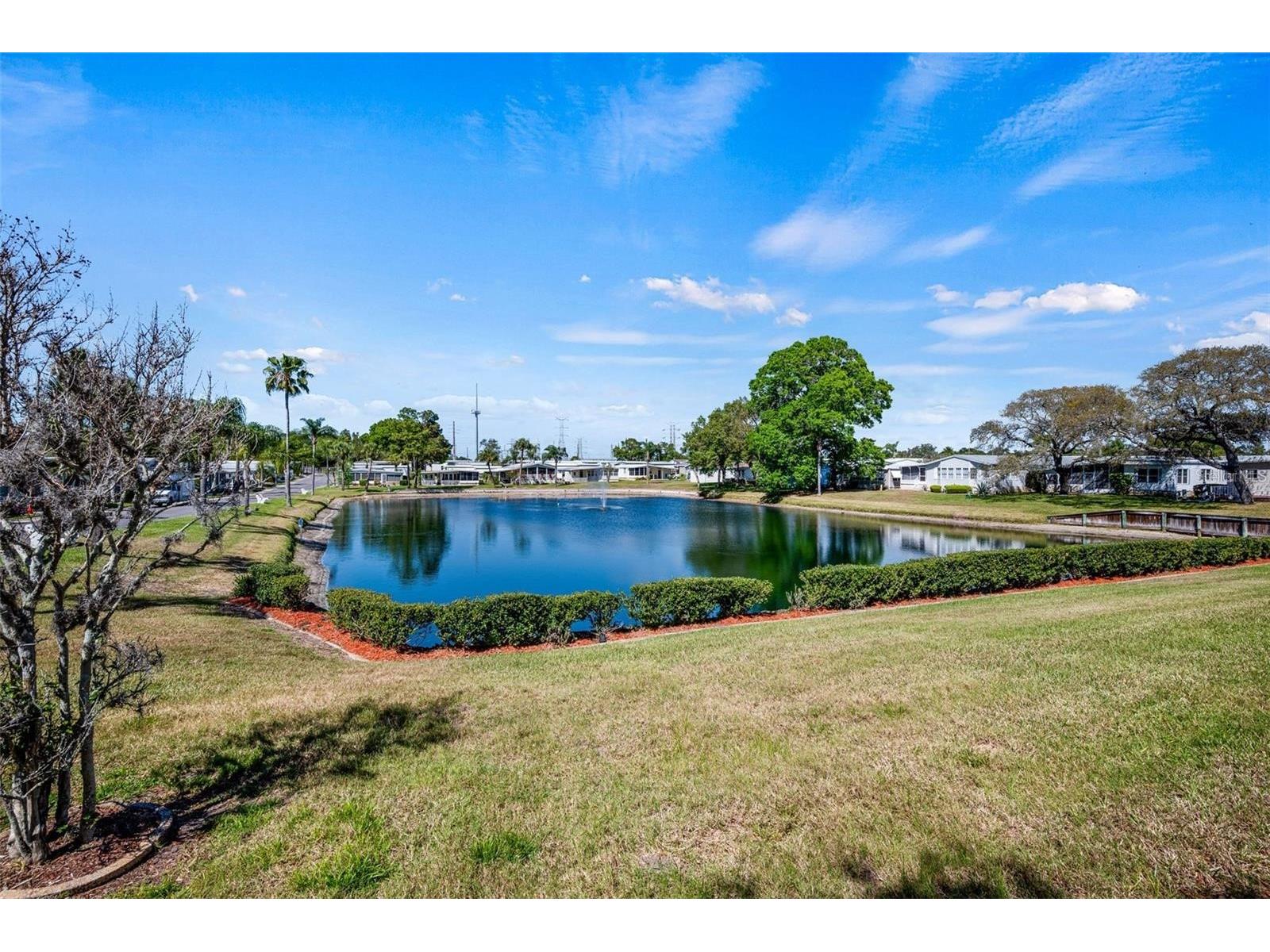 7 Mountain Laurel Drive Palm Harbor FL 34684 TB8447401 image33