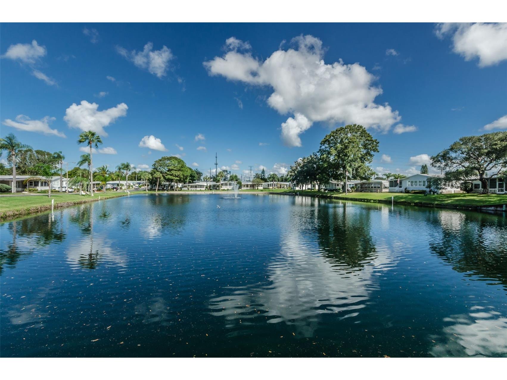 7 Mountain Laurel Drive Palm Harbor FL 34684 TB8447401 image41