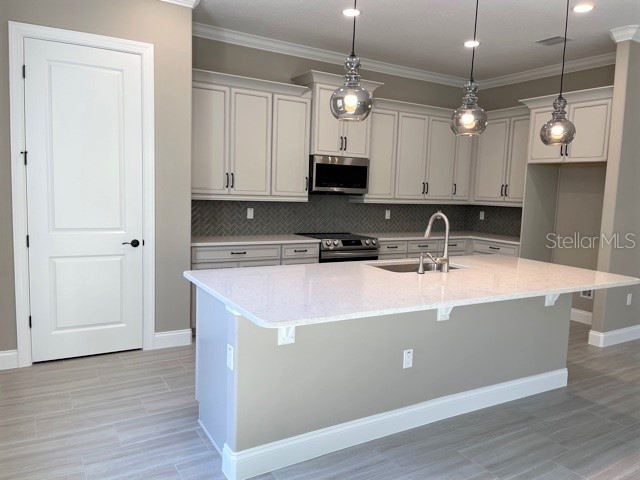 7 Oasis Circle Palm Coast FL 32137 FC318565 image7
