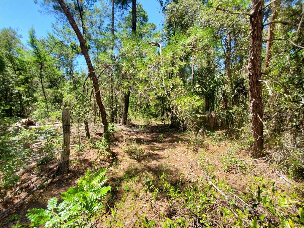 7 Petunias Court Homosassa FL 34446 U8172317 image1