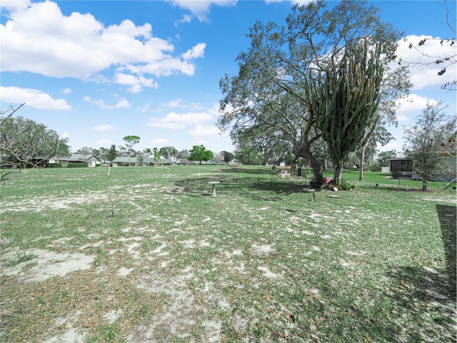 7 Pine Run Haines City FL 33844 P4938081 image30