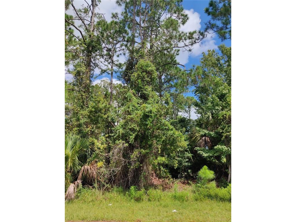 7 Ponce Deleon Drive Palm Coast FL 32164 FC294258 image1