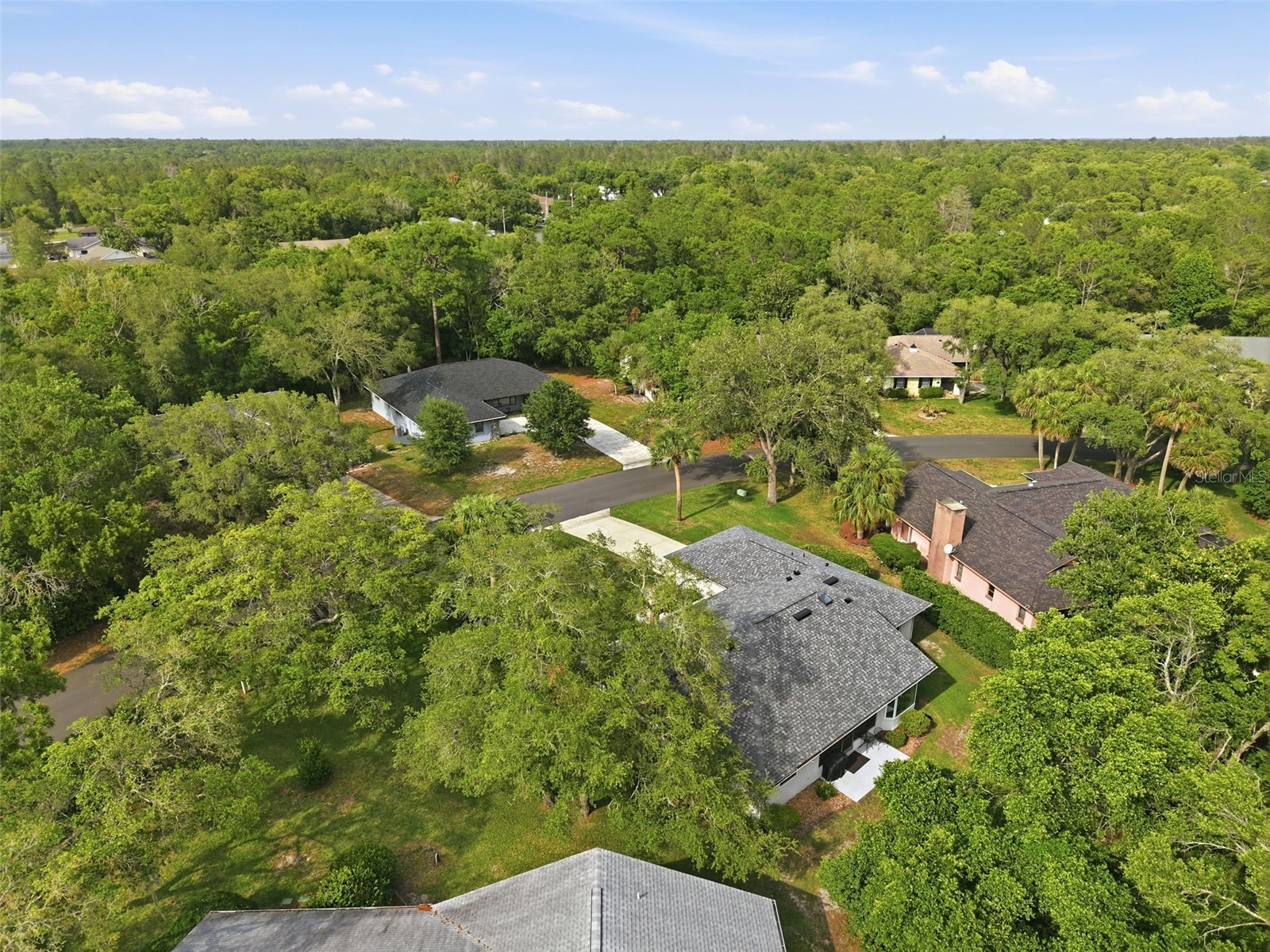 7 Salvia Court W Homosassa FL 34446 TB8508005 image39