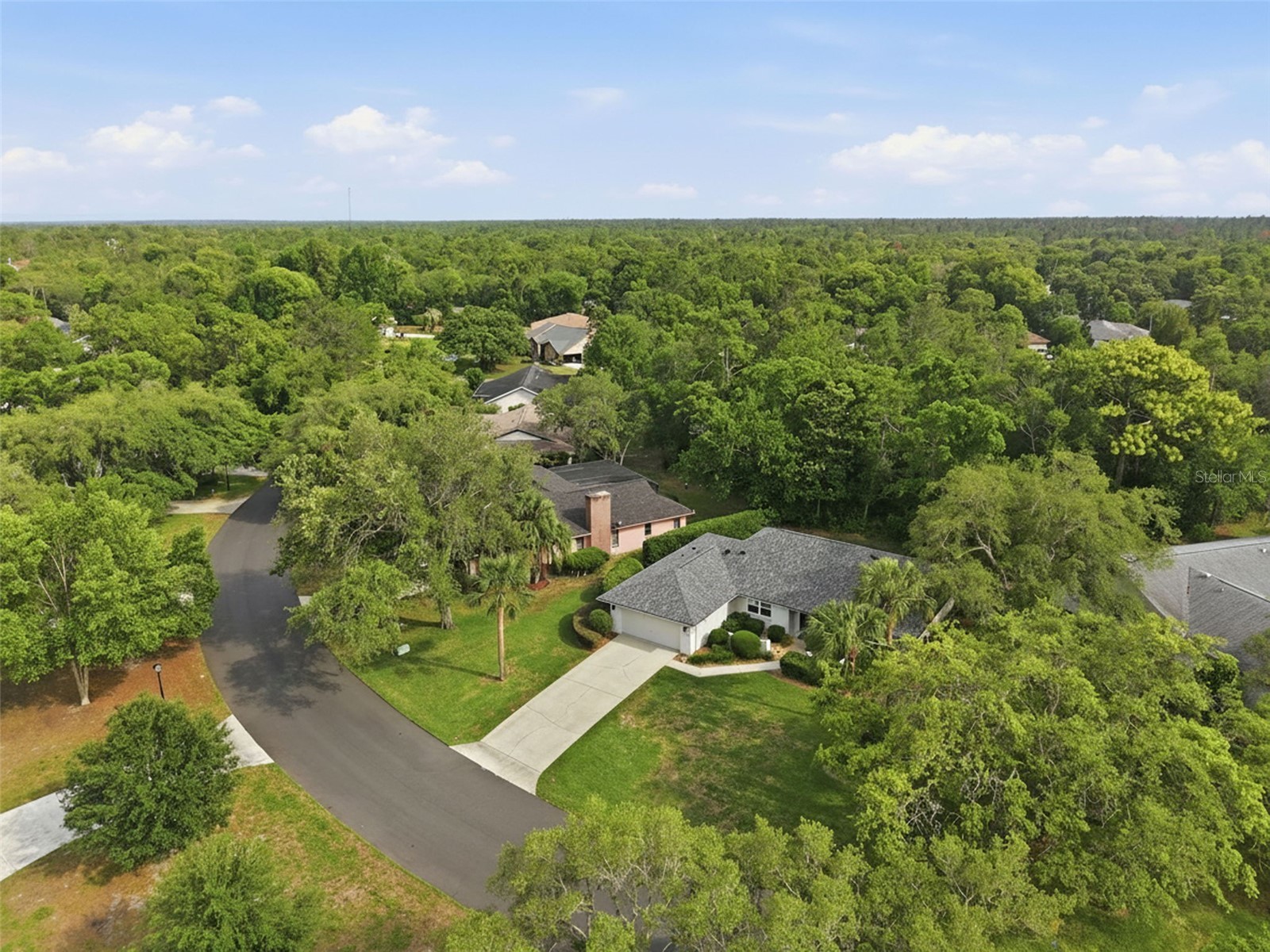7 Salvia Court W Homosassa FL 34446 TB8508005 image40