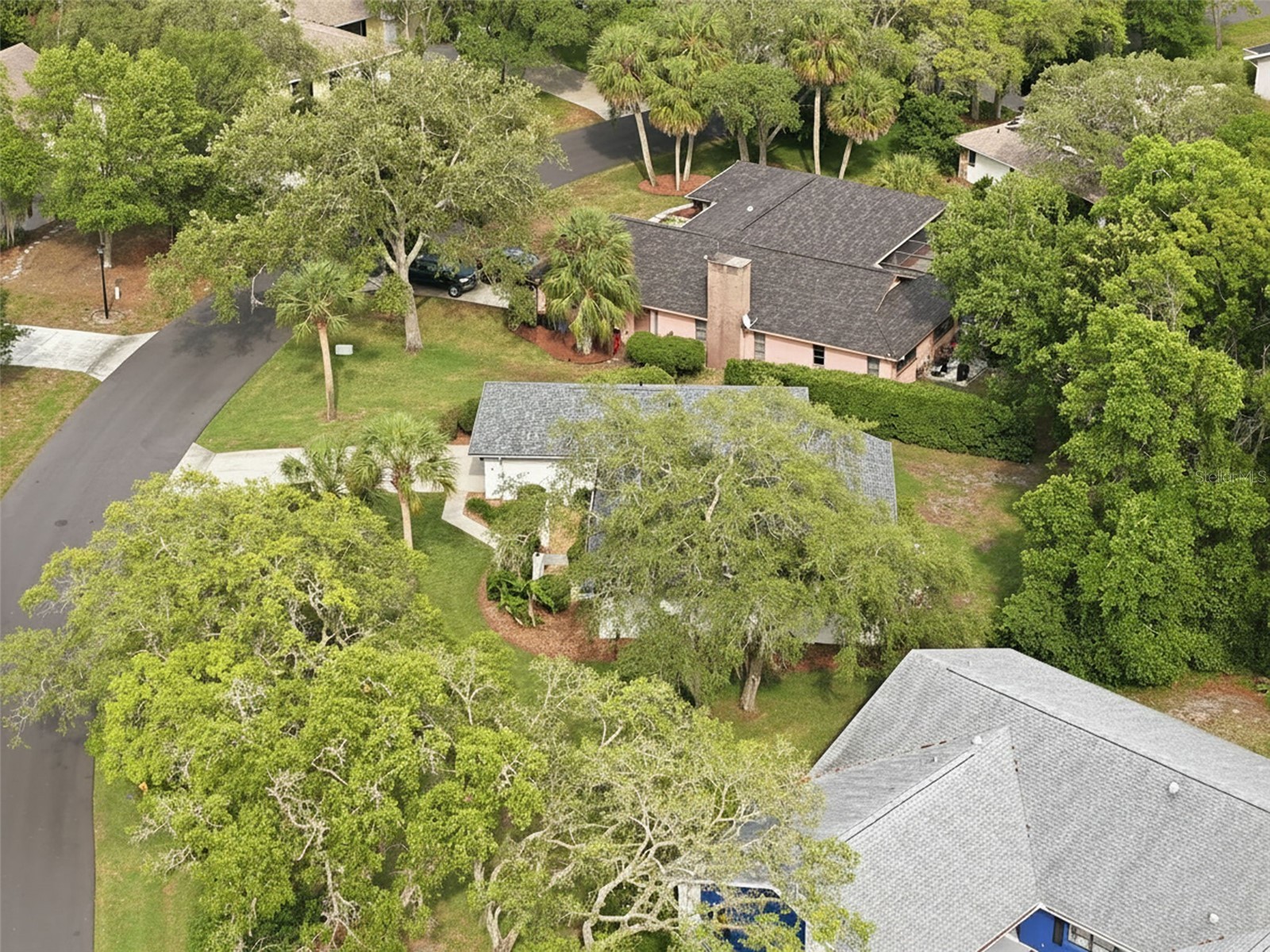 7 Salvia Court W Homosassa FL 34446 TB8508005 image42