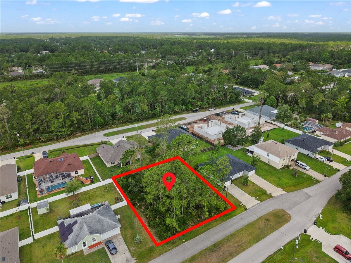7 Service Tree Place Palm Coast FL 32164 FC318881 image1