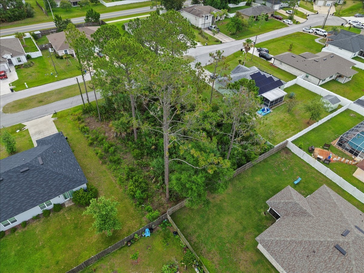 7 Service Tree Place Palm Coast FL 32164 FC318881 image10