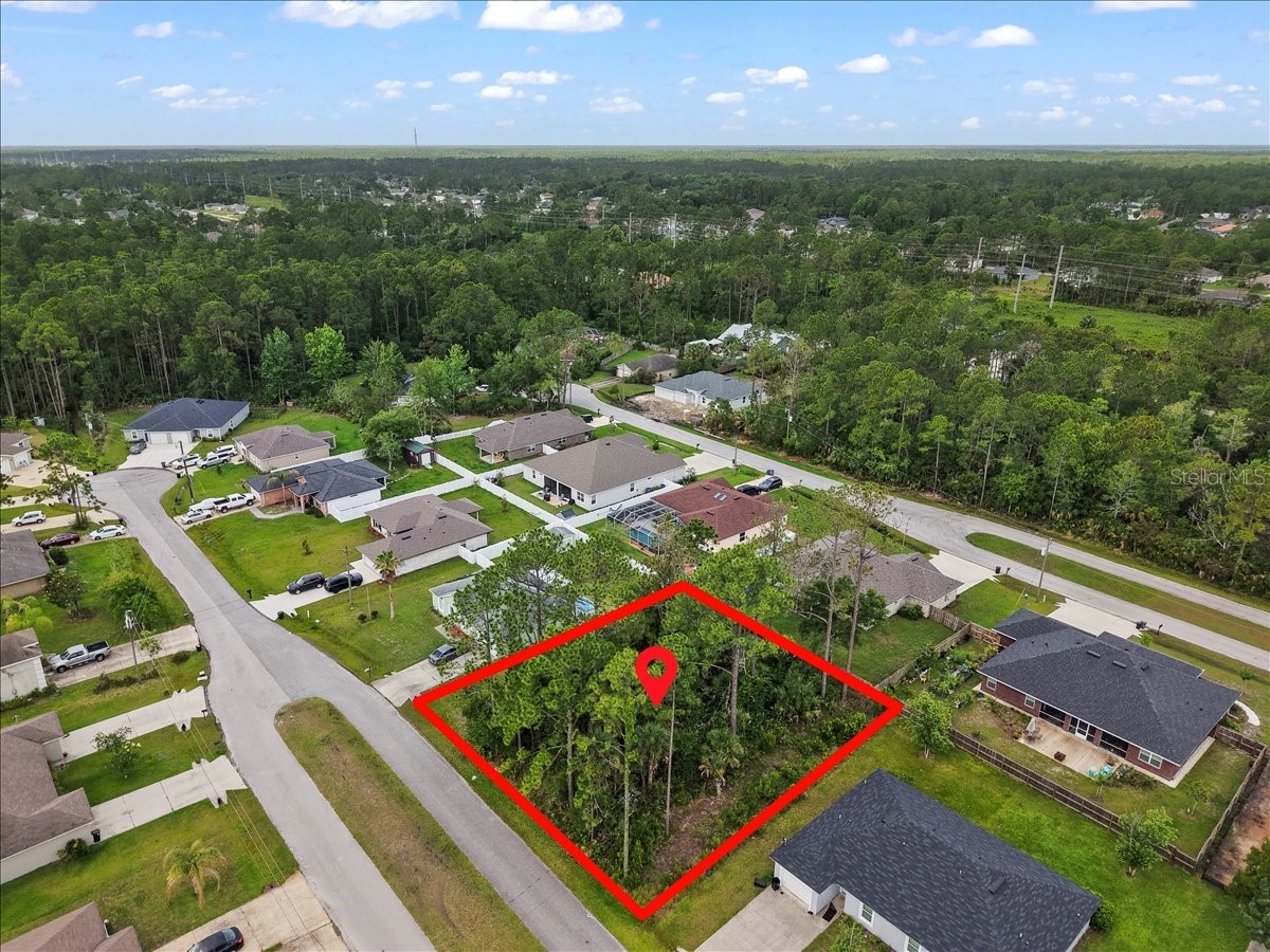 7 Service Tree Place Palm Coast FL 32164 FC318881 image14